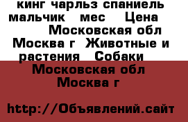 кинг чарльз спаниель мальчик 3 мес. › Цена ­ 15 000 - Московская обл., Москва г. Животные и растения » Собаки   . Московская обл.,Москва г.